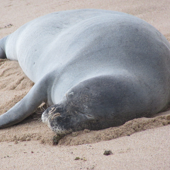 Meet your Posher, Heather - Picture 1 of 1